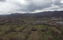 Vilă Premium P+1 în Buciumen – Spațiu, Eleganță și Natură (Lângă Hanul din Meri)