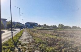 Teren intravilan 2.500 mp, ultracentral Titu, ideal investiție sau parcelare