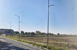 Teren intravilan 2.500 mp, ultracentral Titu, ideal investiție sau parcelare