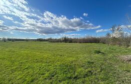 TEREN | RANCACIOV | 2000 MP | 700 INTRAVILAN | 