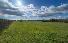 TEREN | RANCACIOV | 2000 MP | 700 INTRAVILAN | 