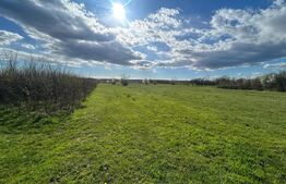 TEREN | RANCACIOV | 2000 MP | 700 INTRAVILAN | 