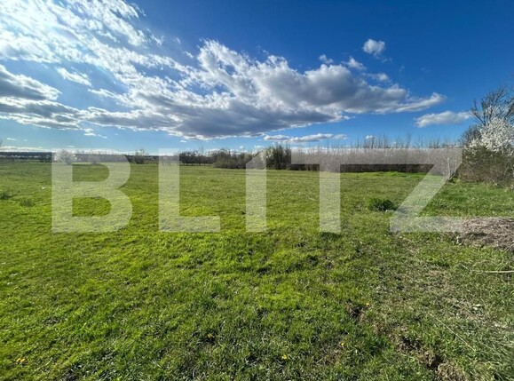 Teren de vânzare Sud - 192510TV | BLITZ Târgoviște | Poza3