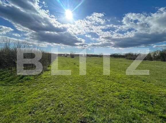 Teren de vânzare Sud - 192510TV | BLITZ Târgoviște | Poza2