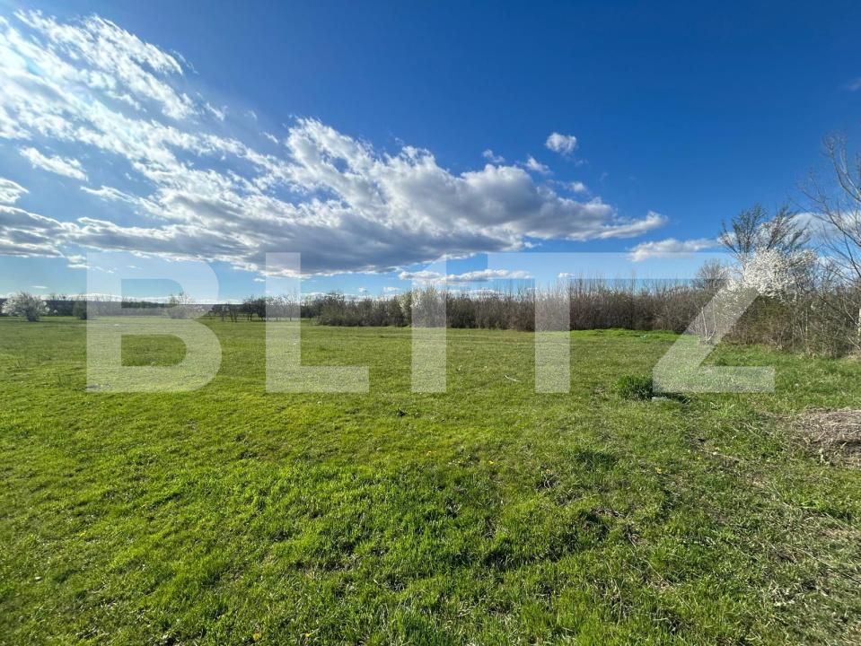 Teren de vânzare Sud - 192510TV | BLITZ Târgoviște | Poza4