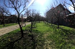 🍎 Teren mixt -construibil (intravilan) + livadă matură (Extravilan) – La DN 72A