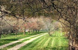 Teren de vânzare Micro 12 - 143351TV | BLITZ Târgoviște | Poza1