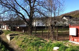 🍎 Teren mixt -construibil (intravilan) + livadă matură (Extravilan) – La DN 72A