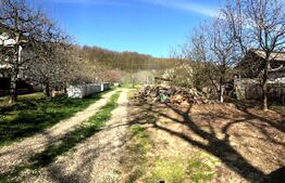 🍎 Teren mixt -construibil (intravilan) + livadă matură (Extravilan) – La DN 72A