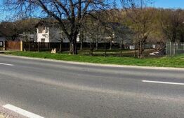 🍎 Teren mixt -construibil (intravilan) + livadă matură (Extravilan) – La DN 72A