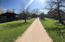 🍎 Teren mixt -construibil (intravilan) + livadă matură (Extravilan) – La DN 72A