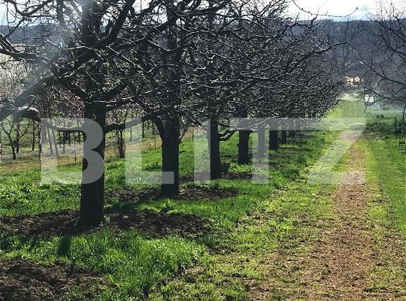 Teren de vânzare Voinesti - 192658TV | BLITZ Târgoviște | Poza2