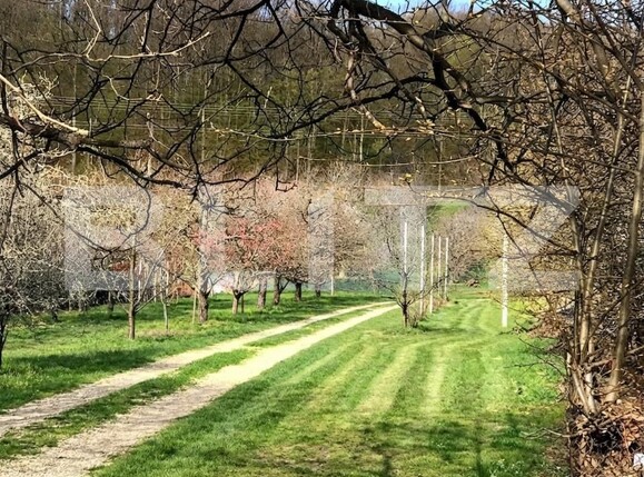 Teren de vânzare Voinesti - 192658TV | BLITZ Târgoviște | Poza1