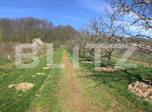 Teren de vânzare Voinesti - 192658TV | BLITZ Târgoviște | Poza5