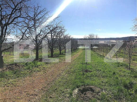 Teren de vânzare Voinesti - 192658TV | BLITZ Târgoviște | Poza7