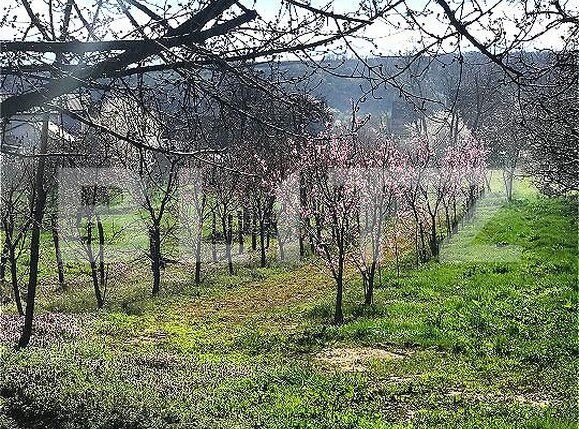 Teren de vânzare Voinesti - 192658TV | BLITZ Târgoviște | Poza8
