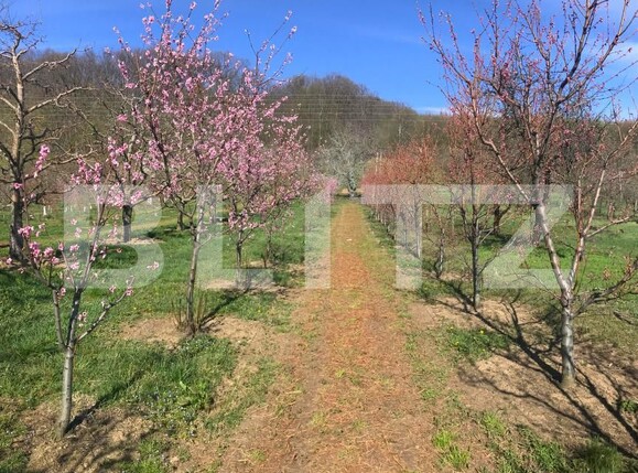 Teren de vânzare Voinesti - 192658TV | BLITZ Târgoviște | Poza6