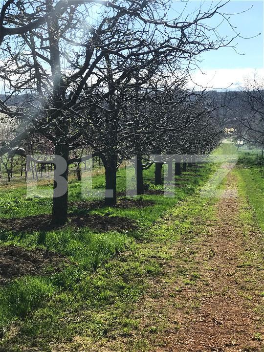 Teren de vânzare Voinesti - 192658TV | BLITZ Târgoviște | Poza2
