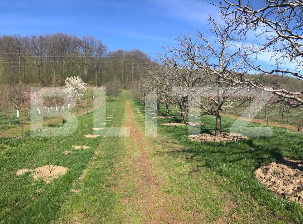 Teren de vânzare Voinesti - 192658TV | BLITZ Târgoviște | Poza5