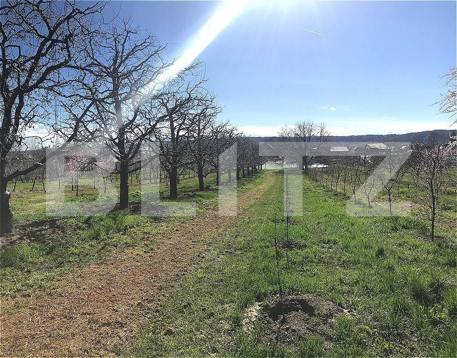 Teren de vânzare Voinesti - 192658TV | BLITZ Târgoviște | Poza7