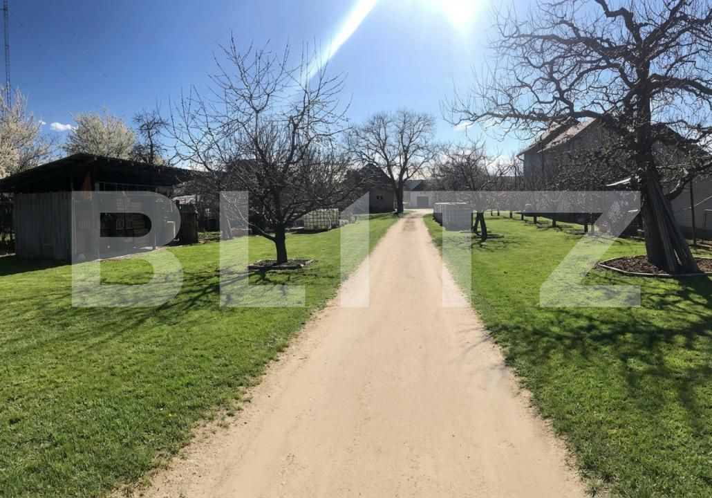 Teren de vânzare Voinesti - 192658TV | BLITZ Târgoviște | Poza3