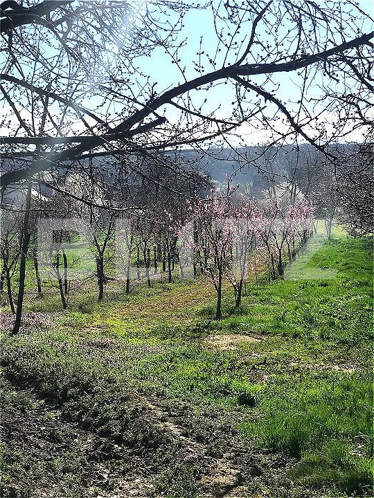 Teren de vânzare Voinesti - 192658TV | BLITZ Târgoviște | Poza8