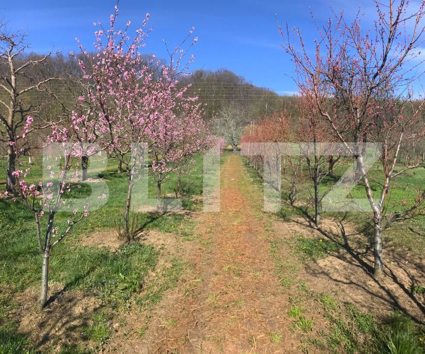 Teren de vânzare Voinesti - 192658TV | BLITZ Târgoviște | Poza6