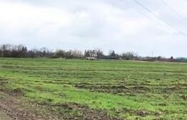 🔥 Teren intravilan 19.650 mp, 65 ml deschidere – 3 accesuri, poziție TOP Titu