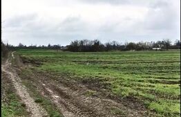 🔥 Teren intravilan 19.650 mp, 65 ml deschidere – 3 accesuri, poziție TOP Titu