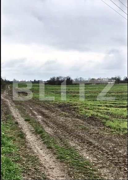 Teren de vânzare Titu - 192666TV | BLITZ Târgoviște | Poza2