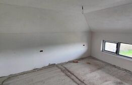 🔥 Vilă P+1+M 15 camere – 3300 mp teren, ideal clinică/pensiune