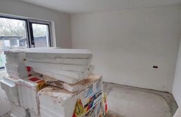 🔥 Vilă P+1+M 15 camere – 3300 mp teren, ideal clinică/pensiune