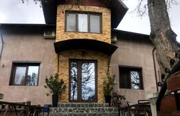 Casa de vânzare 6 camere Brezoaia - 201310CV | BLITZ Târgoviște | Poza4