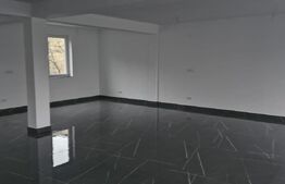Blitz oferă spre închiriere spațiu comercial generos – 100 mp, Găești