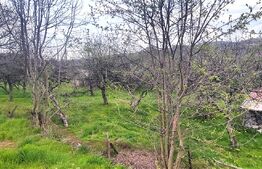 🍏 Teren Construibil 2900 mp cu 2 deschideri la asfalt – livadă matură, DN 72A