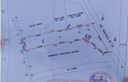 🍏 Teren Construibil 2900 mp cu 2 deschideri la asfalt – livadă matură, DN 72A