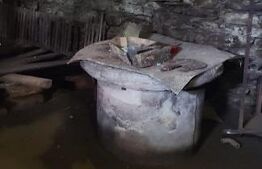 🍏 Teren Construibil 2900 mp cu 2 deschideri la asfalt – livadă matură, DN 72A