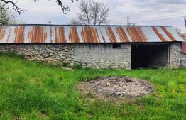 🍏 Teren Construibil 2900 mp cu 2 deschideri la asfalt – livadă matură, DN 72A