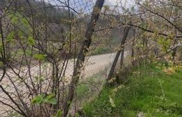 🍏 Teren Construibil 2900 mp cu 2 deschideri la asfalt – livadă matură, DN 72A