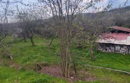 🍏 Teren Construibil 2900 mp cu 2 deschideri la asfalt – livadă matură, DN 72A