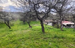 🍏 Teren Construibil 2900 mp cu 2 deschideri la asfalt – livadă matură, DN 72A