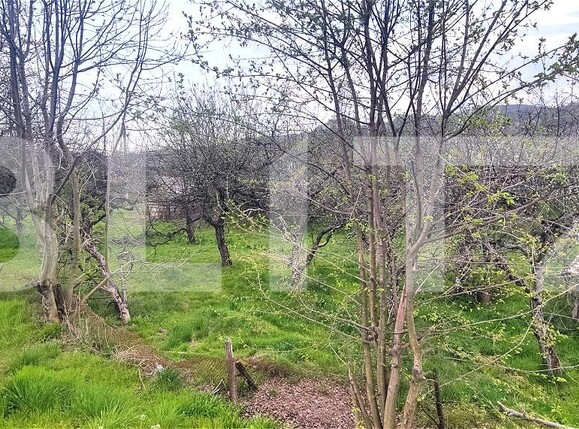 Teren de vânzare Voinesti - 192885TV | BLITZ Târgoviște | Poza20