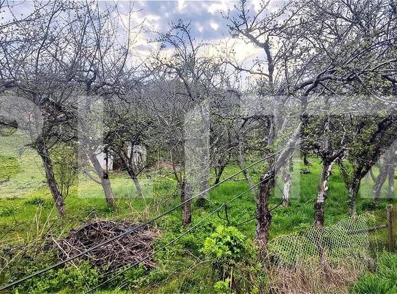 Teren de vânzare Voinesti - 192885TV | BLITZ Târgoviște | Poza1