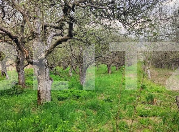Teren de vânzare Voinesti - 192885TV | BLITZ Târgoviște | Poza8