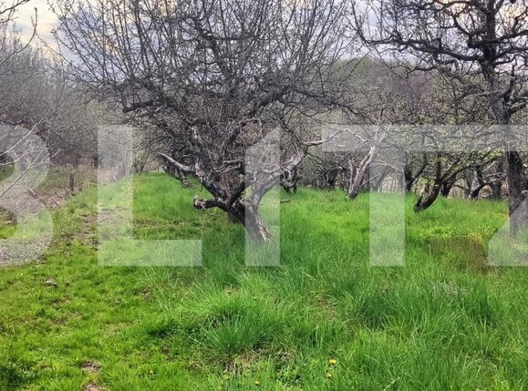 Teren de vânzare Voinesti - 192885TV | BLITZ Târgoviște | Poza9