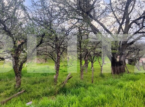 Teren de vânzare Voinesti - 192885TV | BLITZ Târgoviște | Poza3