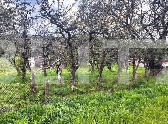 Teren de vânzare Voinesti - 192885TV | BLITZ Târgoviște | Poza2