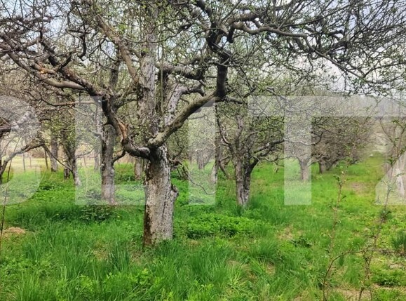 Teren de vânzare Voinesti - 192885TV | BLITZ Târgoviște | Poza10