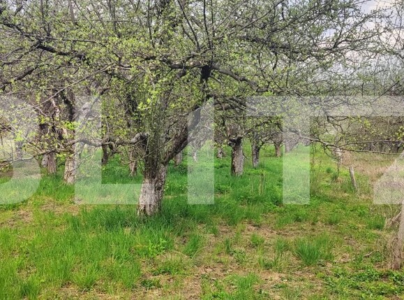 Teren de vânzare Voinesti - 192885TV | BLITZ Târgoviște | Poza16