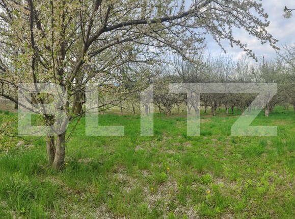 Teren de vânzare Voinesti - 192885TV | BLITZ Târgoviște | Poza18